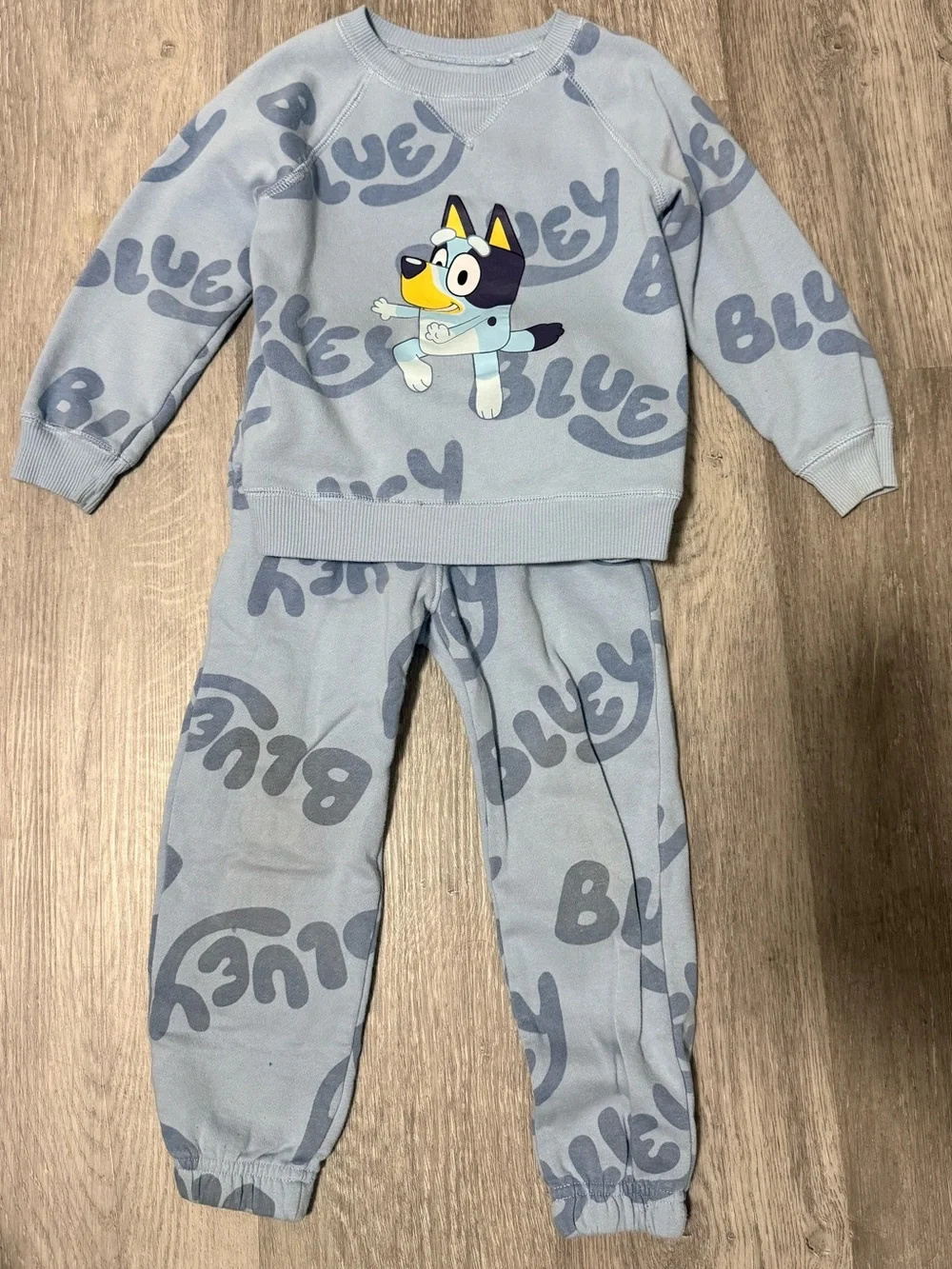 Bluey Toddler Play Set